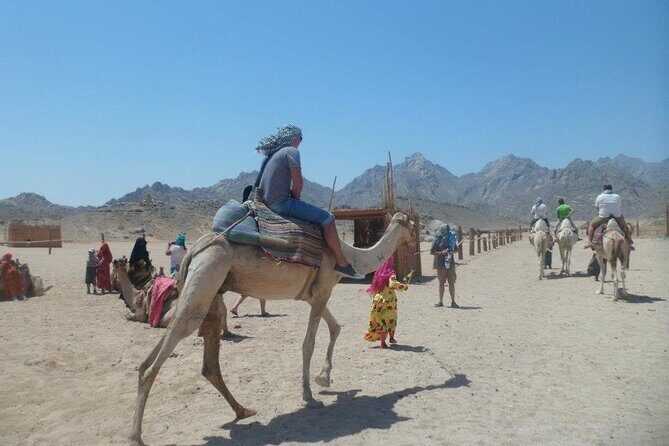 7x1Mega Safari Sharm El Sheikh - What To Expect from the Itinerary