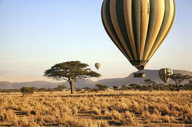 8-Day 7Nights Serengeti Experience Safari Adventure - A Closer Look at the Itinerary