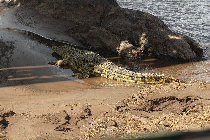 8-Day Amazing Kenya Holiday Safari - FAQ