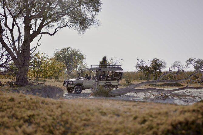 8 Day Chobe NP, Elephant Sands, Okavango Delta & Victoria Falls - Key Points