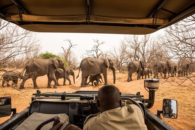 8 Day Chobe NP, Elephant Sands, Okavango Delta & Victoria Falls - The Okavango Delta — Aerial Views and Dugout Canoeing