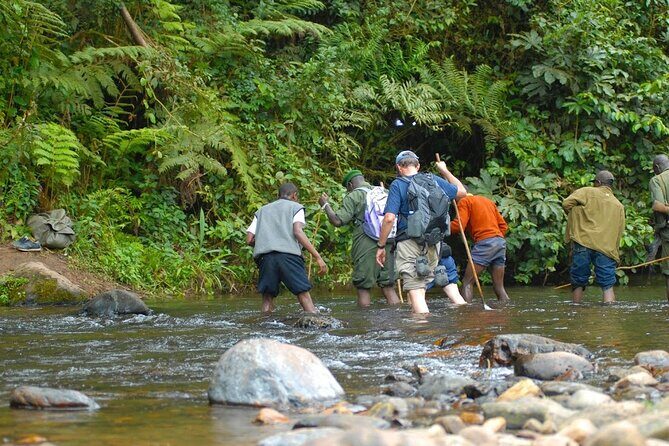 8-Day Classic Uganda Primates & Wildlife Tour - FAQs