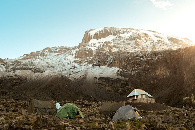 8 Day Climbing Kilimanjaro Via Lemosho Route - Who Would Love This Tour?