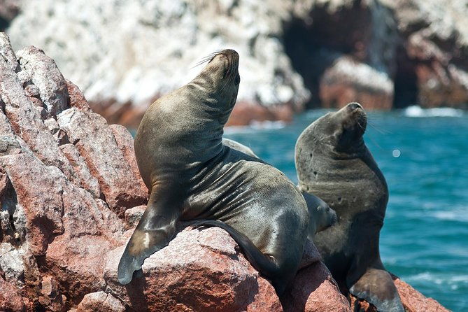 8-day-enigmas-of-peru-lima-nasca-cusco-sacred-valley-machu-picchu