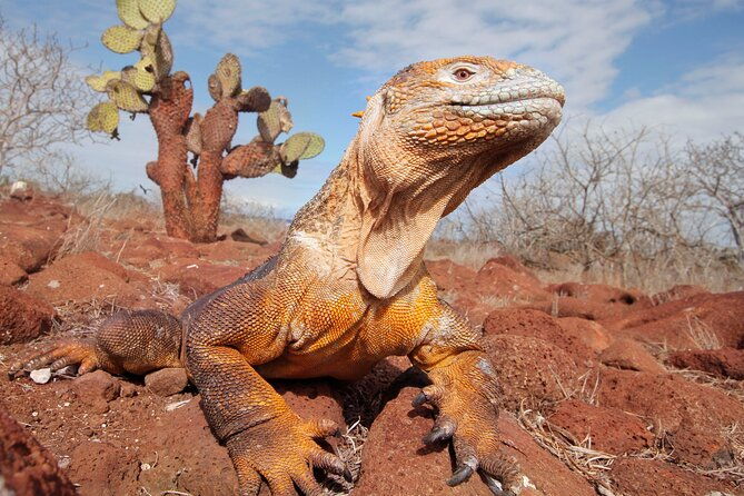 8-day-full-pack-galapagos-multi-sport-adventure-4-5-island-tour