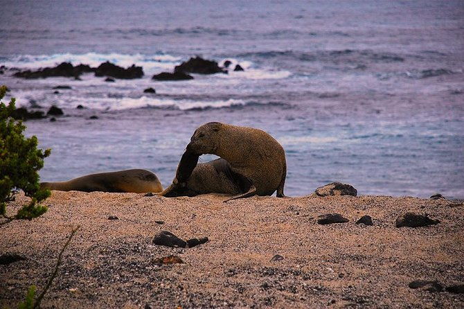 8-day-galapagos-adventure-in-san-cristobal-santa-cruz-isabela