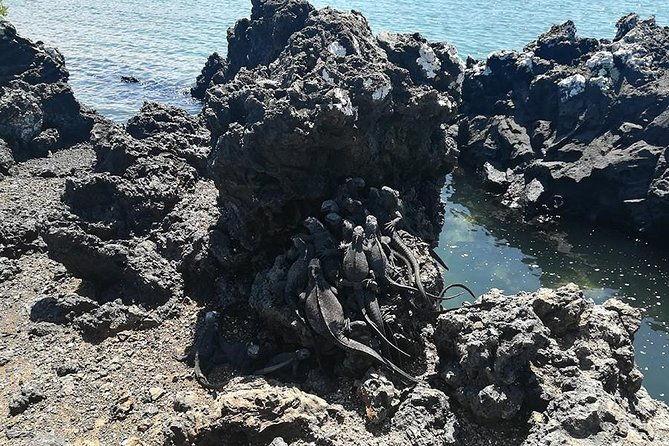 8-day-galapagos-adventure-in-san-cristobal-santa-cruz-isabela