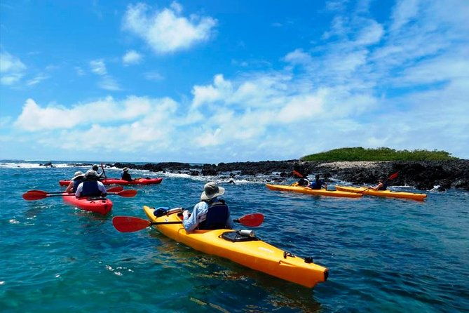 8-day-galapagos-adventure-in-san-cristobal-santa-cruz-isabela