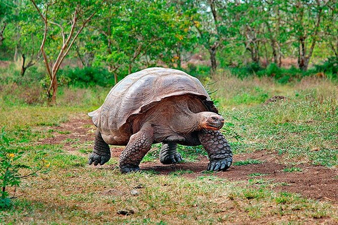 8-day-galapagos-island-hopping
