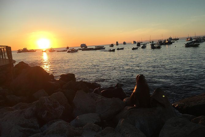 8-day-galapagos-island-hopping-superior-kicker-rock-los-tuneles-local-flight