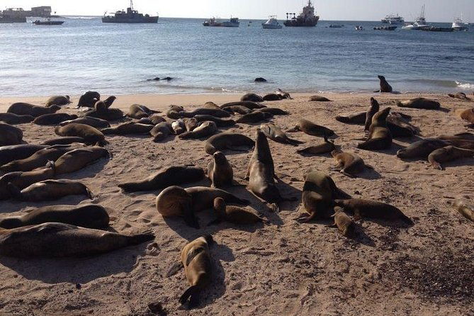 8-day-galapagos-island-hopping-superior-kicker-rock-los-tuneles-local-flight