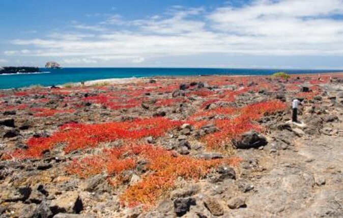 8-day-galapagos-island-hopping-tour-explore-5-islands-snorkelhike-wildlife