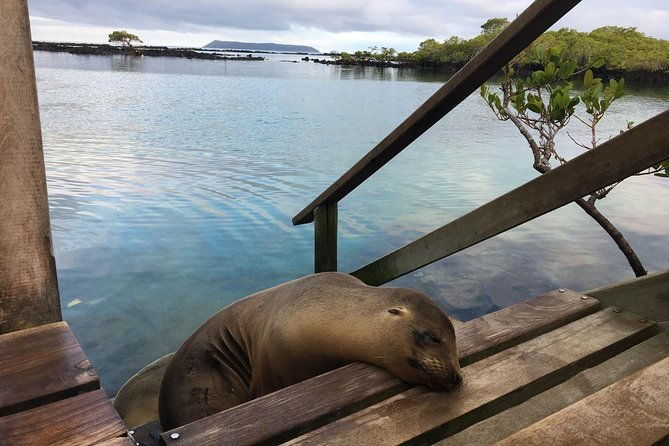 8-day-galapagos-island-hopping-tour-isabela-giant-tortoises-and-snorkeling