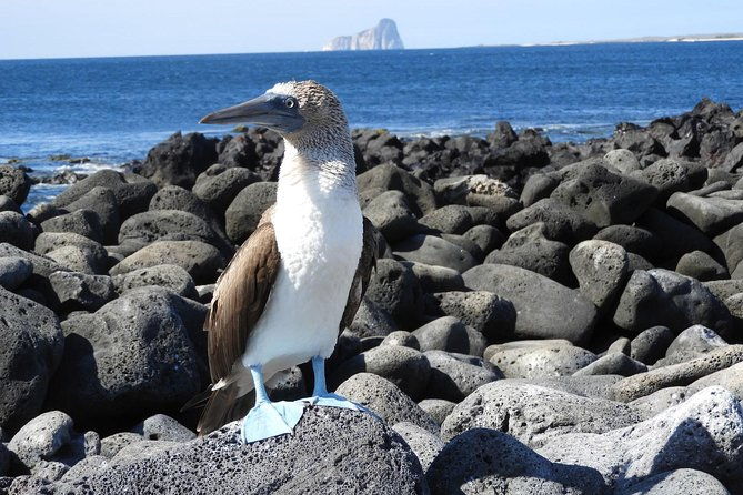 8-day-galapagos-multisport-san-cristobal-isabela-and-santa-cruz
