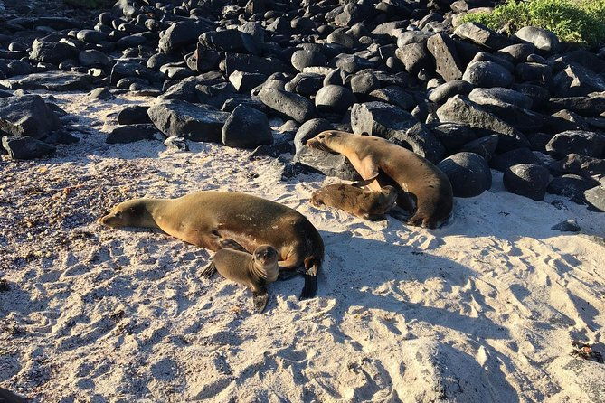 8-day-galapagos-multisport-san-cristobal-isabela-and-santa-cruz