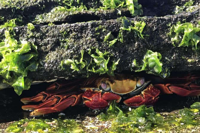 8-day-galapagos-multisport-san-cristobal-isabela-and-santa-cruz