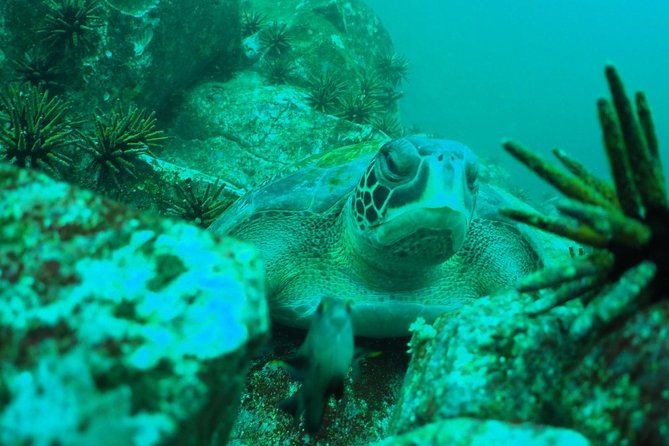 8-day-galapagos-multisport-san-cristobal-isabela-and-santa-cruz