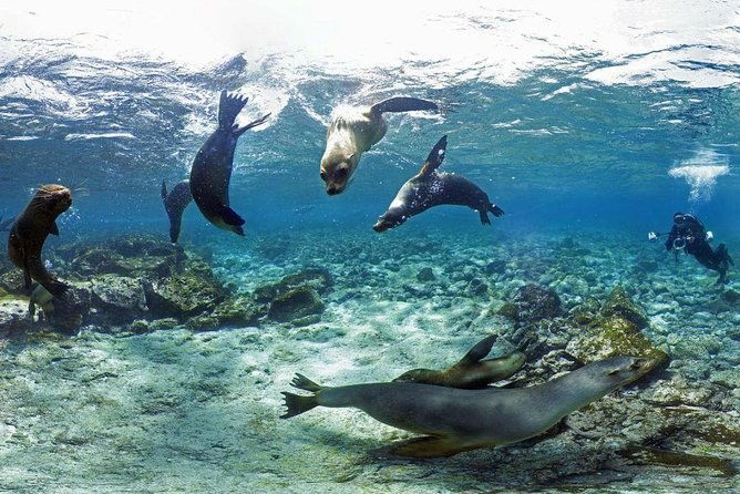 8-day-galapagos-on-a-budget-3-islands-experience