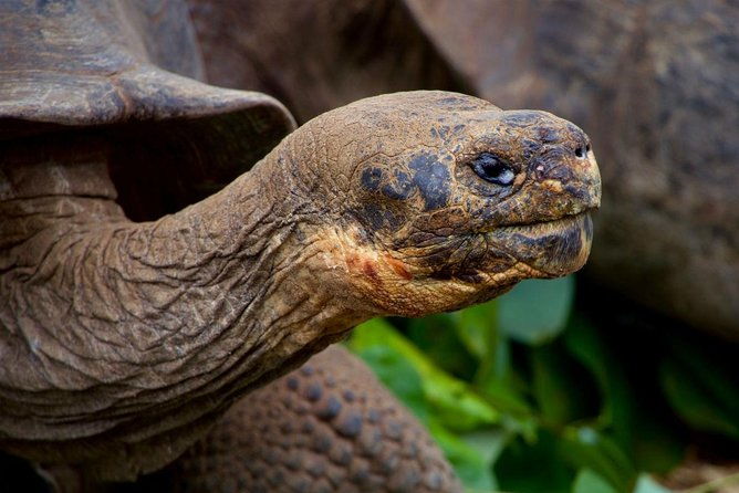 8-day-galapagos-on-a-budget-3-islands-experience