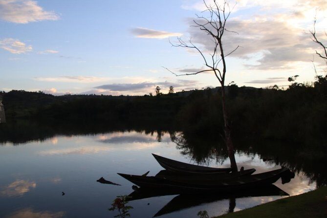8 Day Gorilla Trek, Wildlife Safari and Chimp Habituation Experience - FAQ