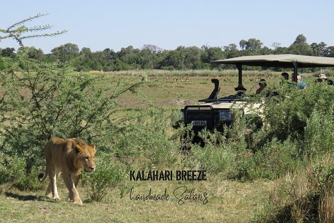 8 Day Highlights Of Botswana & Victoria Falls Overland Tour - Why This Tour Stands Out