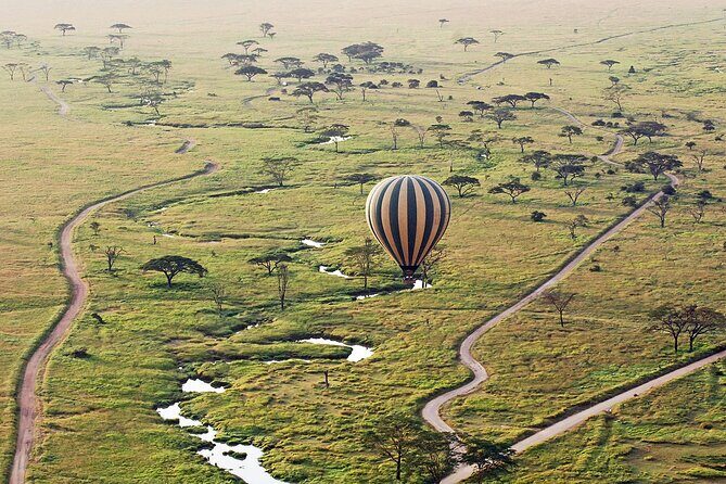 8-Day Kenya Group Joining Safari - Final Thoughts