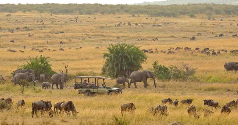 8-Day Kenya Safari: Samburu, Amboseli, Mara & More - Key Points