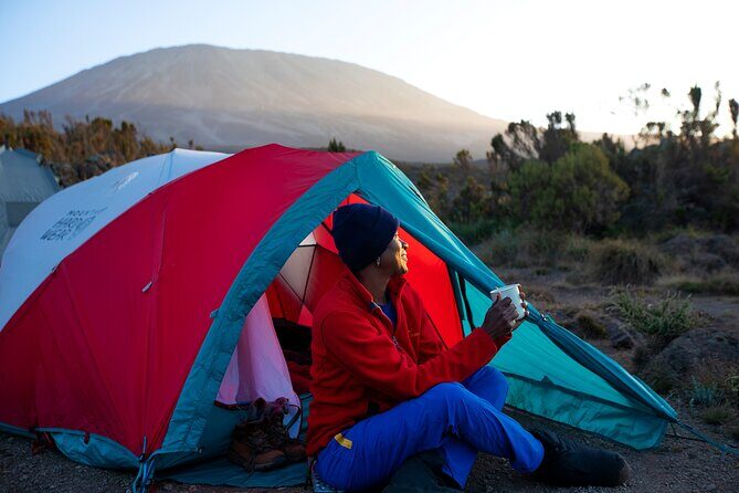 8 Day Kilimanjaro Trek via Lemosho Route - The Sum Up: Is This Tour Right for You?