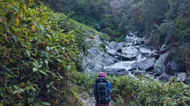 8 Day Langtang Valley Trek for Beginners - An In-Depth Look at the Langtang Valley Trek Experience
