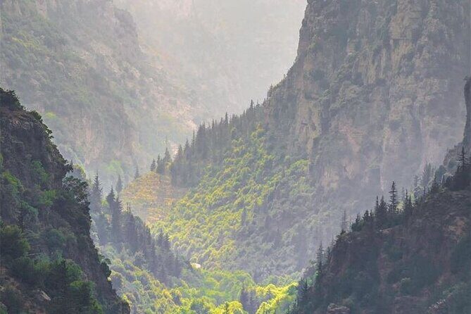 8-Day Lebanon Travel Package from Beirut - Who Will Enjoy This Tour?