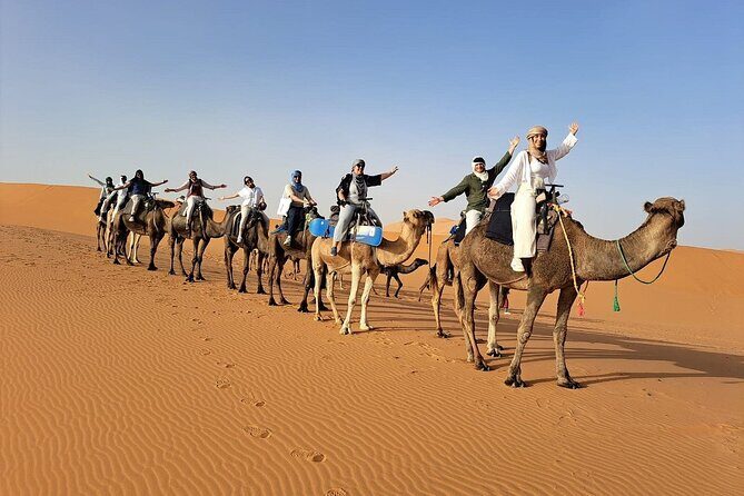 8-Day Luxury Tour from Casablanca to Marrakech via Fes-Merzouga - Who Would Love This Tour?