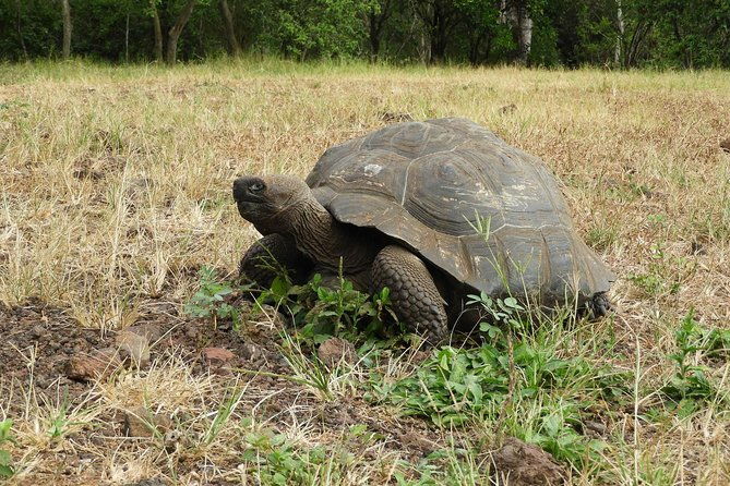 8-day-machu-picchu-galapagos-superior-ultimate-bucket-list-experience