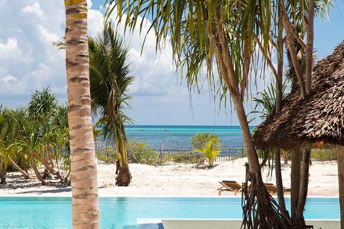 8-Day Mikumi National Park and Zanzibar Beach Holiday - Value and Price Analysis