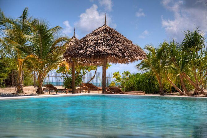 8-Day Mikumi National Park and Zanzibar Beach Holiday - Authenticity and Past Traveler Insights