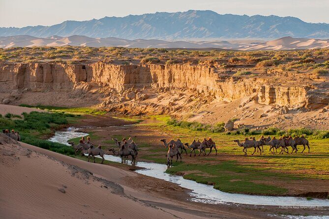 8 Day Mongolia Gobi desert 4WD Adventure Tour - Key Points