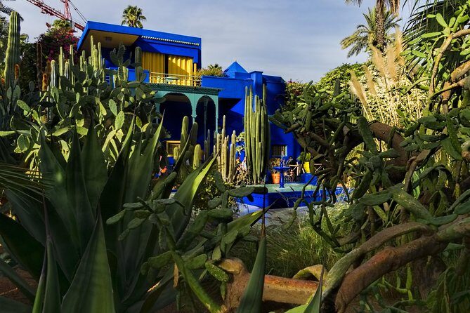 8 - Day Morocco Tour from Casablanca via Chefchaouen & Desert - Exploring the Highlights of the 8-Day Morocco Tour