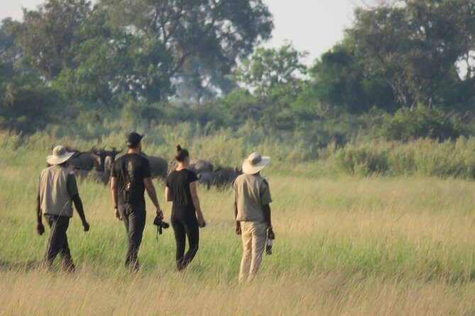 8 Day Okavango Safari - Wilderness Trail (Inner Delta & Moremi) - FAQ