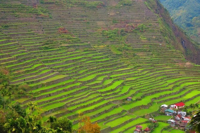 8-Day Palawan, Boracay & Cebu Islands in the Philippines Package - Who Should Consider This Tour?