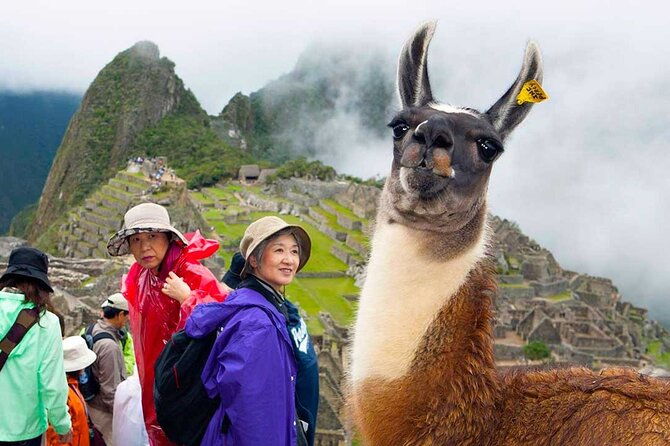8-day-peru-tours-lima-cusco-sunrise-at-machu-picchu