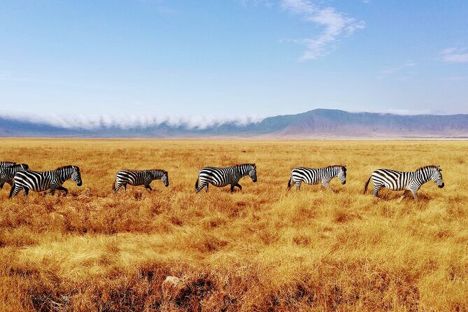 8-Day Private Guided Tanzania Safari with Pick Up - Who Would Love This Tour?