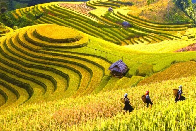 8 Day Private Guided Tour Sapa Hagiang and Ba Be lake in Vietnam - Key Points