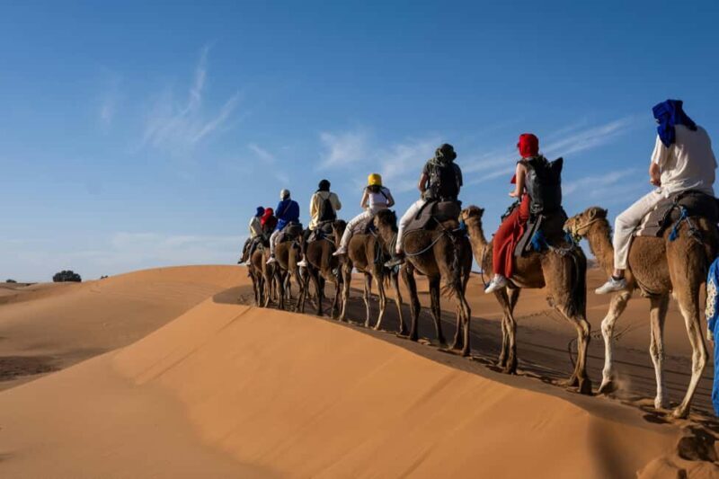 8-Day Private Moroccan Sahara Tour - Pricing and Value
