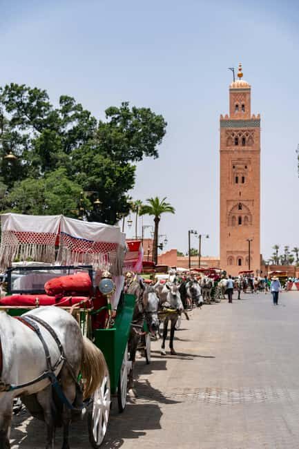 8-Day Private Moroccan Sahara Tour - Who Is This Tour Best For?