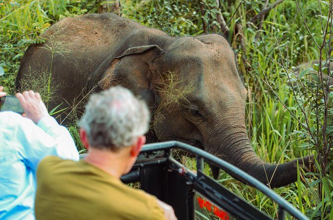 8 Day Private Sri Lanka Tour with Chauffeur - Practical Details & Tips