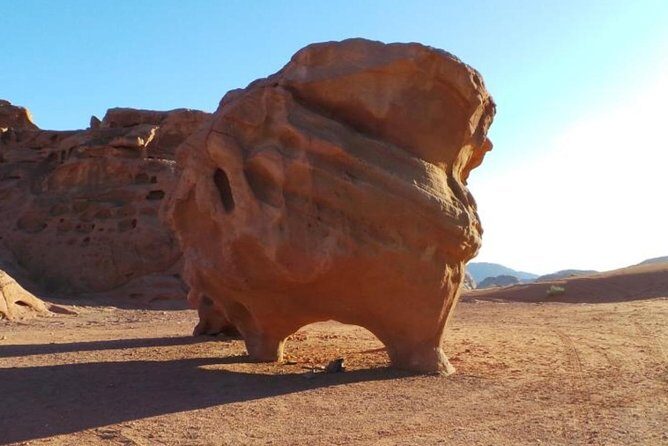 8-Day Private Tour, Jordan's Ability - Customizable - Final Thoughts