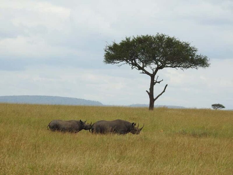 8-Day Safari and Zanzibar Escape - The True Value of This Tour