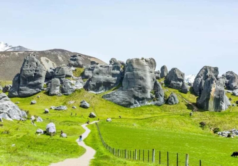 8 Day Southern Crossing Small Group Tour - Exploring the South Island: An In-Depth Review