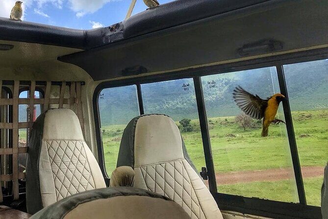 8-Day Tanzania Private Safari Tour with Airport Pickup - The Itinerary Breakdown
