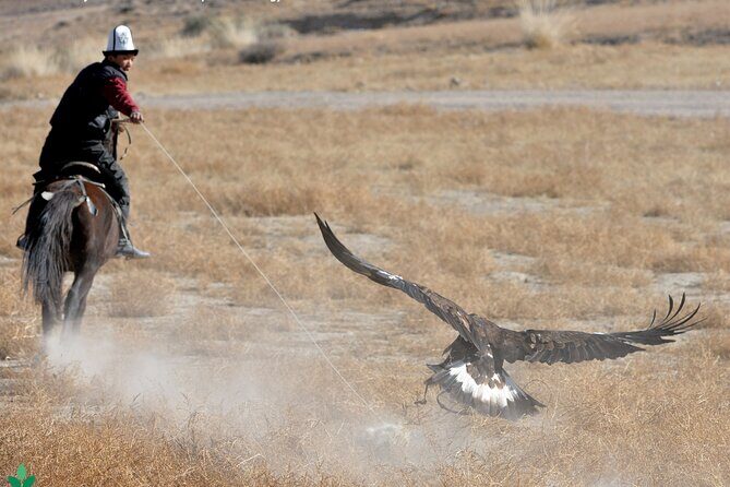 8 Day Tour in Nomadic Life of Kyrgyzstan - Practical Considerations and Value