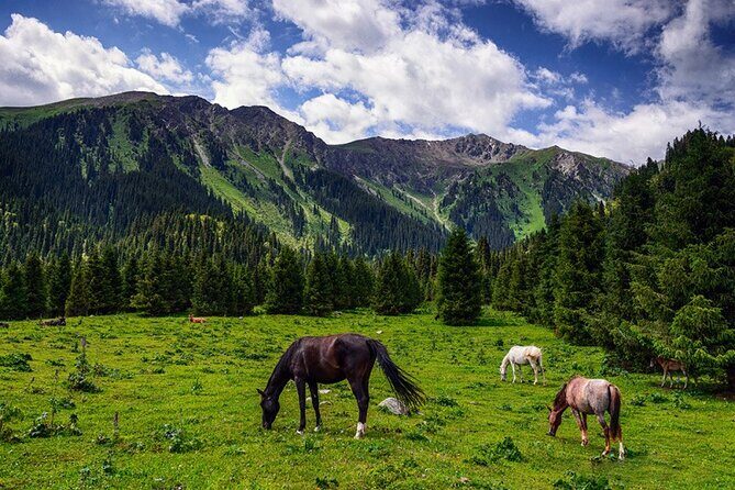 8 Day Tour in Nomadic Life of Kyrgyzstan - Final Thoughts